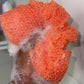 African Net Sponge